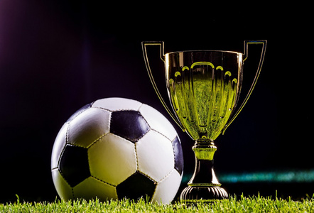 供了有力支 供了有力支