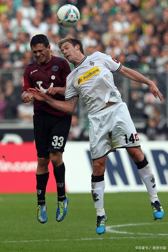 文化影响 文化影响